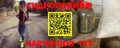индика Лесосибирск