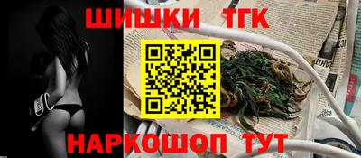 индика Лесосибирск