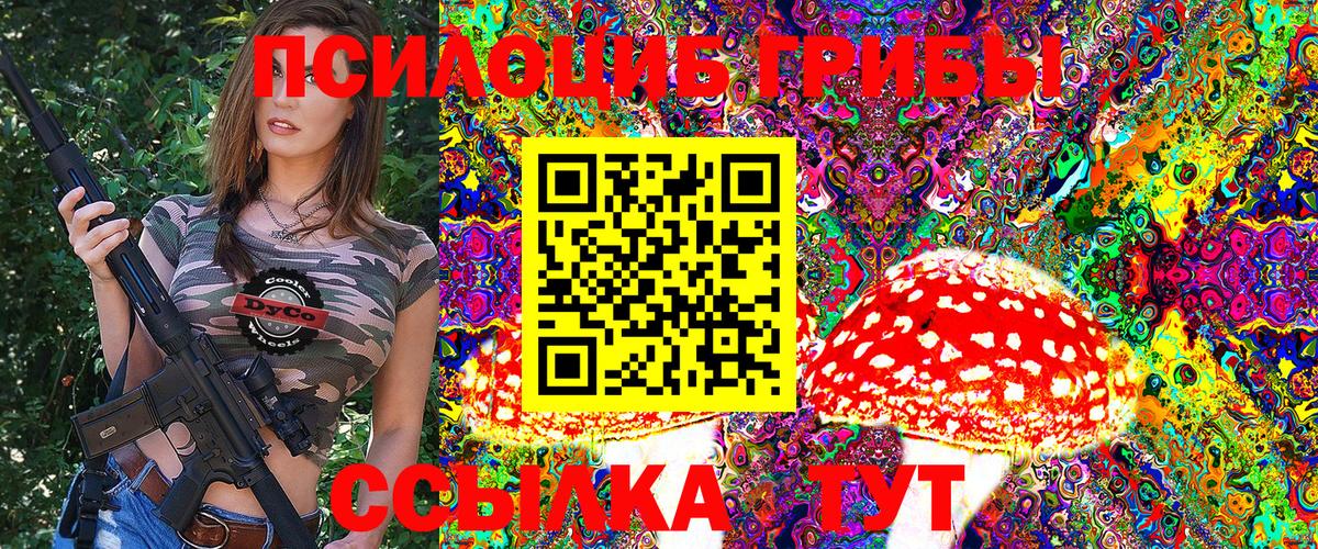 Псилоцибиновые грибы мицелий Юрга