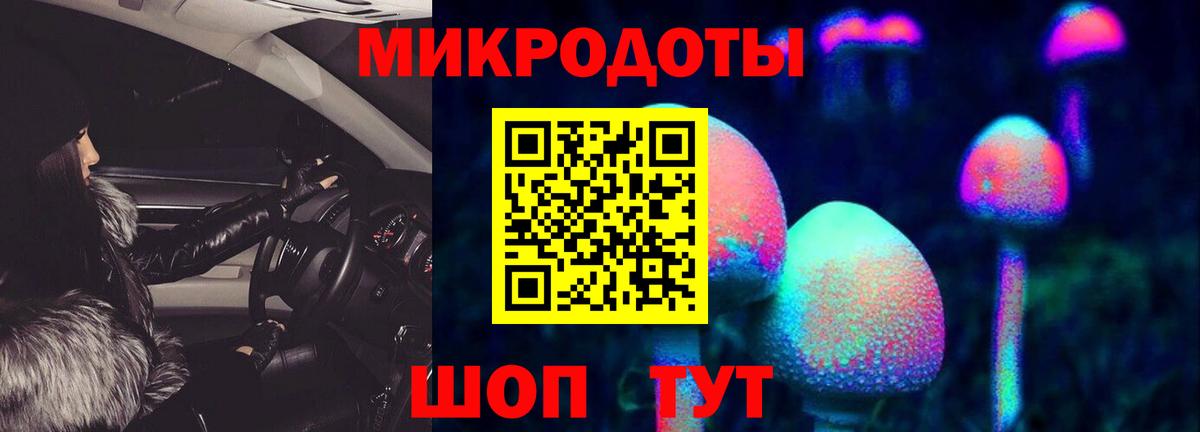 Псилоцибиновые грибы прущие грибы  Вход с VPN  Юрга 